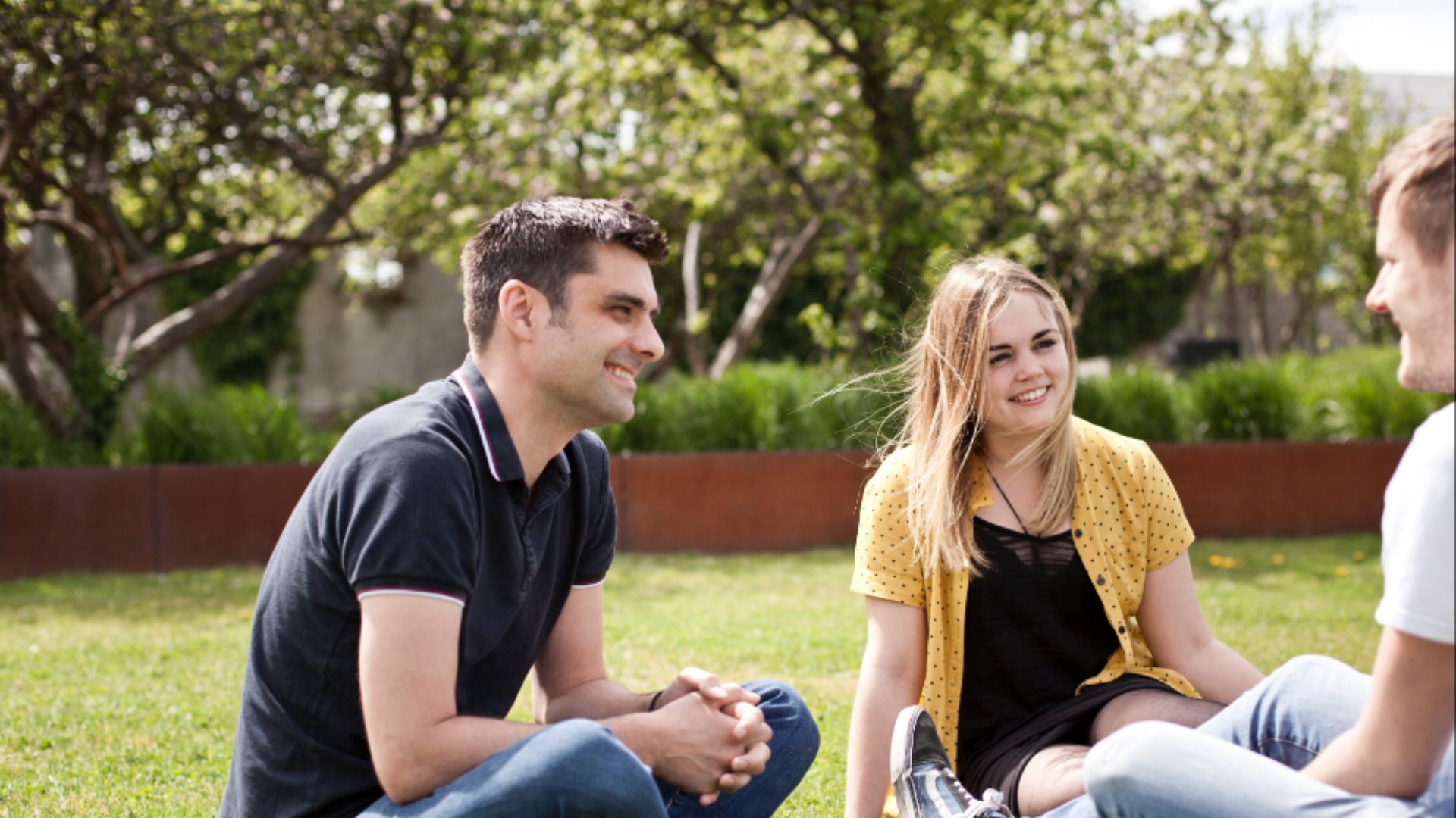 Certificate in Strategic Development for Creative Professionals